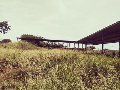 Vacant Land / Plot For Sale in Mangondi, Mphaphuli
