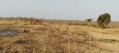 Farm For Sale in Manamane, Mphaphuli